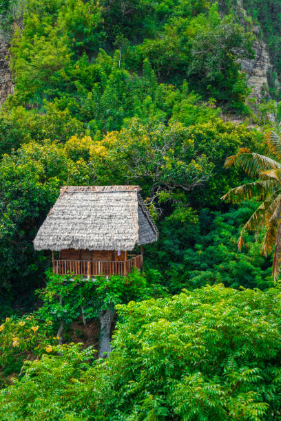 istock Tree house in the middle of forest and rock cliffs 1461529303