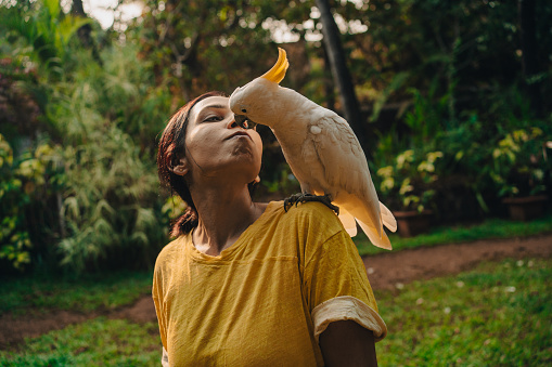 A woman plays with her Cockatoo parrot pet in her garden at sunset time
