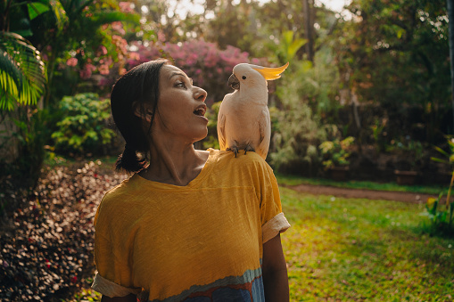 A woman plays with her Cockatoo parrot pet in her garden at sunset time
