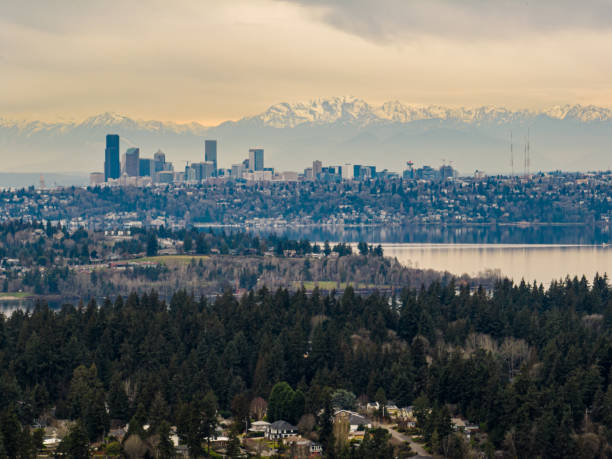 istock Downtown Seattle from the East Side 1461532668
