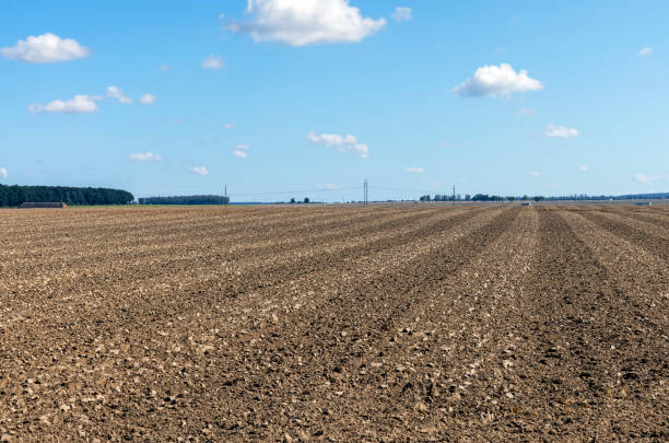 istock plowed soil in the field after harvesting 1461534673