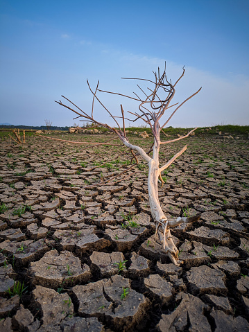Natural scenery in the reservoir is drying up due to long drought, the water in the reservoir  is shrinking,leaving cracked soil.location in Gajah Mungkur reservoir,Wonogiri,Indonesia.