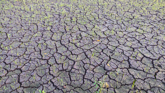 View of cracked ground due to drought