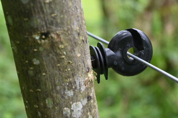 Fencing electric insulator ring that has been installed on a wooden pole