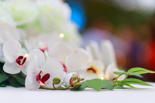 Beautiful white orchid flowers decorated on dinning table, bokeh background, copy space.