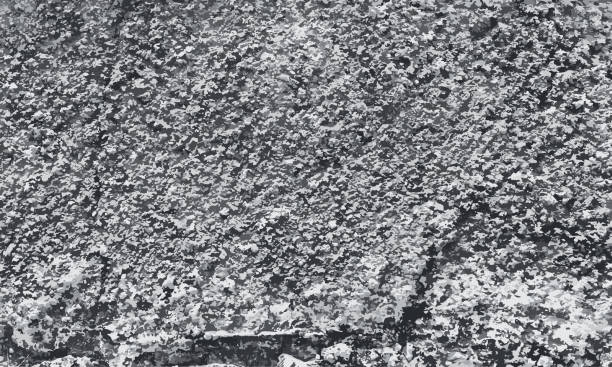 거친 시멘트 바닥 질감 벡터 배경, 회색 시멘트 바닥 표면 세부 정보 벡터 - concrete wall concrete backgrounds stone stock illustrations