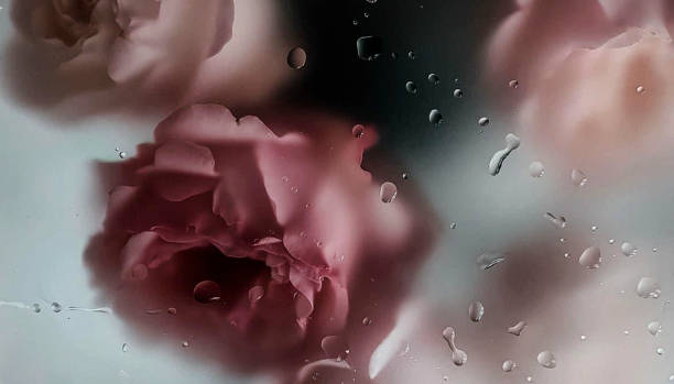 istock photo illustration valentine's day.background blurred image flower with mirror, drop water,perspective creative modern Idea concept. 1461549912