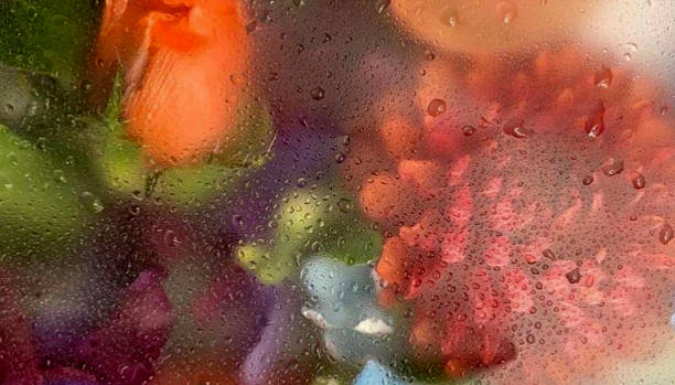 istock photo illustration valentine's day.background blurred image flower with mirror, drop water,perspective creative modern Idea concept. 1461550450