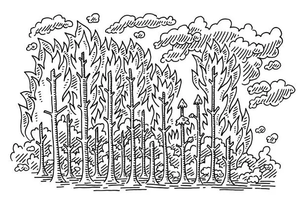 Vector illustration of Forest Fire Drawing