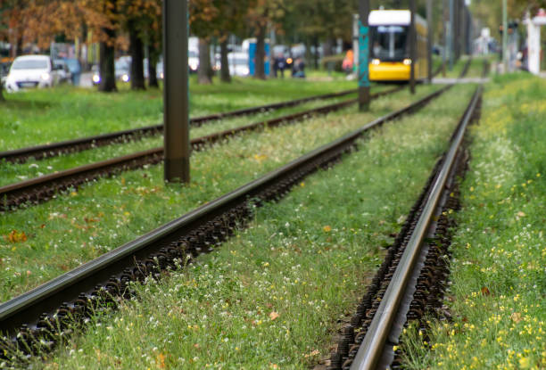 istock Train On Railroad Track Amidst Field 1461556179