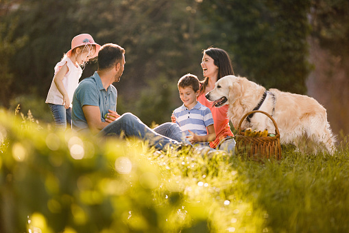 Happy parents, their small kids and a dog enjoying during picnic day in springtime.