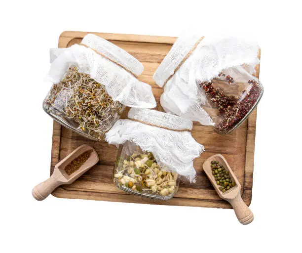 Photo of Various seed sprouts growing in home in glass jars, healthy vitamin rich food snack. Lucerne or Alfalfa, mung bean sprouts, broccoli sprouts seeds in glass jars. Tray isolated on white background.