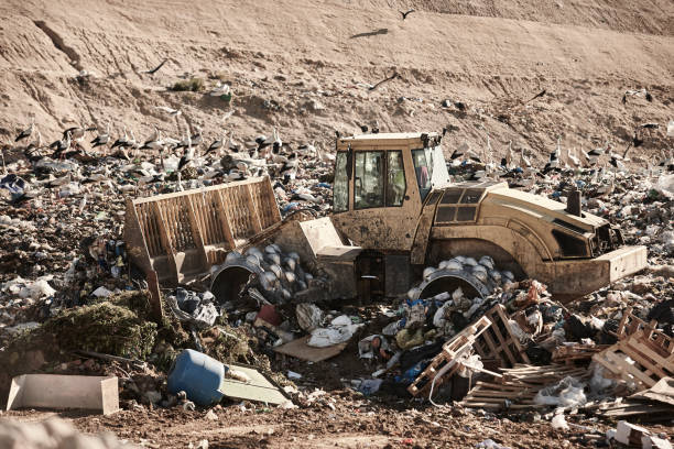 istock Heavy machinery shredding garbage in an open air landfill. Pollution 1461560879
