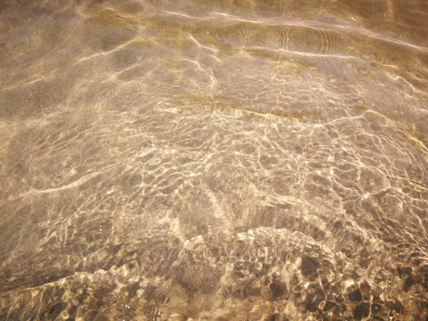istock Water surface textures of natural river water 1461562110