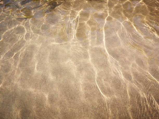 istock Water surface textures of natural river water 1461564002