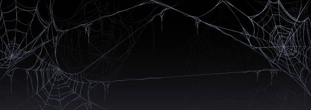 gruseliges halloween banner mit altem spinnennetz - spinnennetz stock-grafiken, -clipart, -cartoons und -symbole