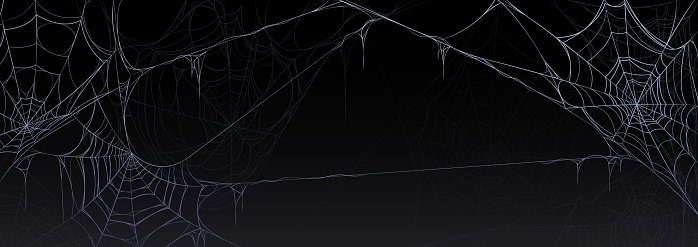 Scary Halloween banner with old spider web hanging in corners on black background. Spooky poster with dirty cobweb, torn spider net and copy space, vector cartoon illustration