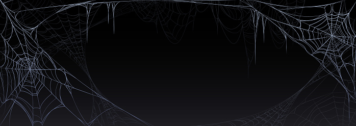 Spider web isolated on black background. Realistic vector illustration of cobweb hanging in corners of haunted house. Scary decoration for Halloween theme night party. Spooky place design element