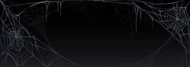 Vector illustration of Realistic spider web isolated on black background