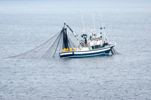 istock Boats in Costa da Morte, Galicia, Spain 1461565686