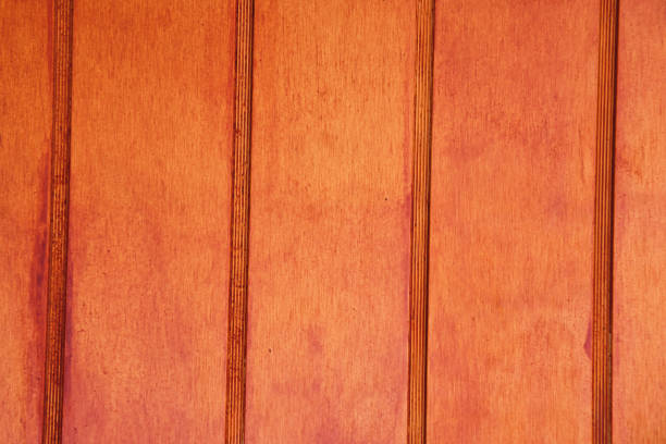 istock Closeup shot of wood texture 1461566030