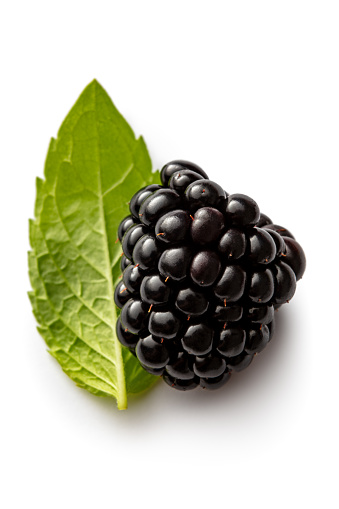 A full plate of the ripe blackberries, and a sprig of red blackberries on a pewter bowl on the dark background, copy space,High quality photo