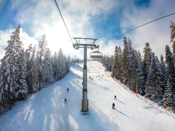 istock Distant view of people skiing under the ropeway surrounded by pine trees 1461571627