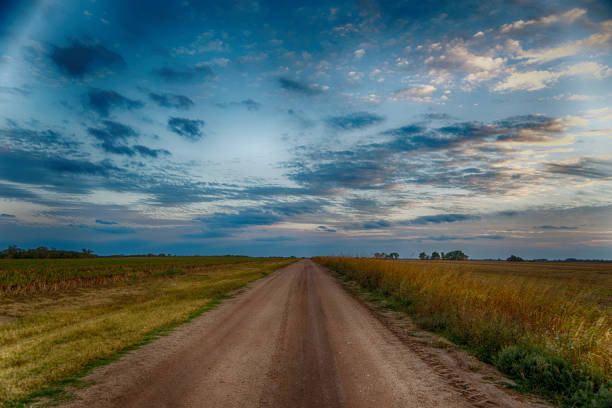 istock Landscape view of the road surrounded by fields 1461573171