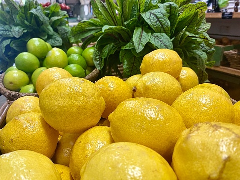 Horizontal still life of fresh picked organic local lemons and limes with green vegetable background at country store in Clunes NSW Australia