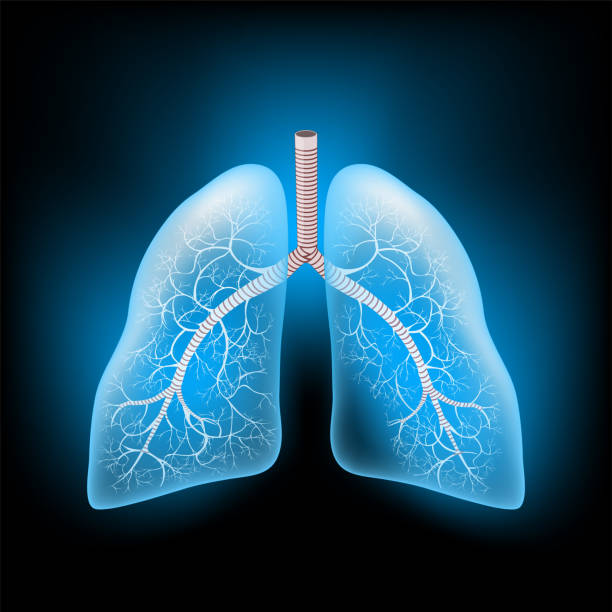 Lungs with glowing effect. Realistic transparent blue Lungs on dark background. vector art illustration