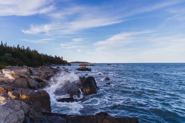 istock Quoddy Head Lighthouse in Maine seen from a distance 1461576331