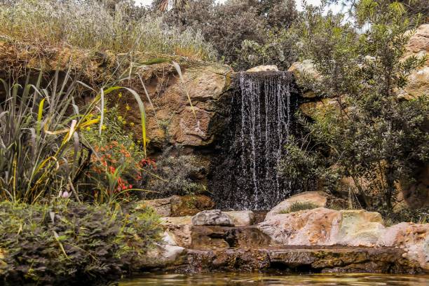 istock Small water falling surrounded by the big rocks and green plants during the daytime 1461577679