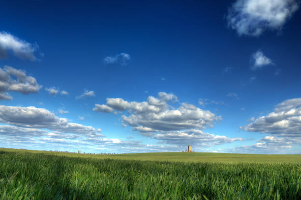 A tranquil scenery of a green field and a blue sky in daylight