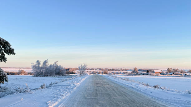 istock snowy winter road with trees in the background 1461579547