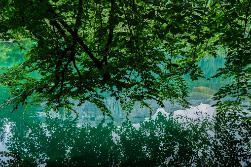 A teen fly-fisherman casting on a trout stream