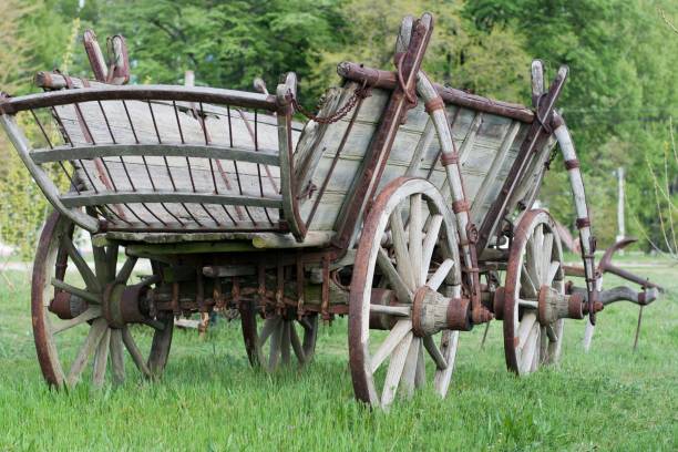 istock Single wooden cart on a green field. 1461583708