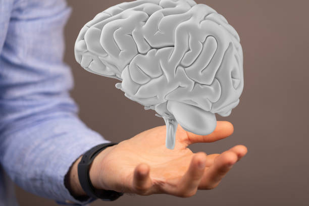 istock Male hand with a 3D rendered human brain over it - innovation, inspiration mind concept 1461585179
