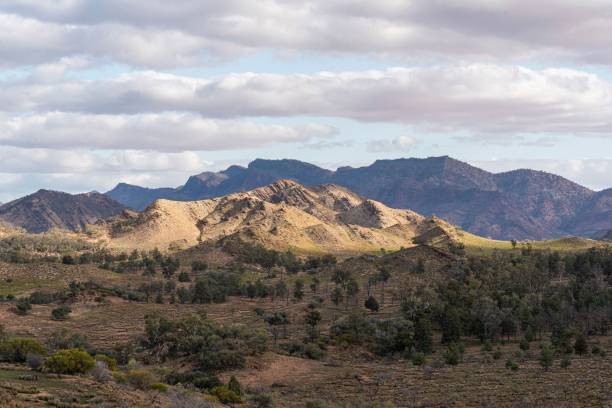 istock Landscape of mountains and trees under the cloudy sky. 1461585534