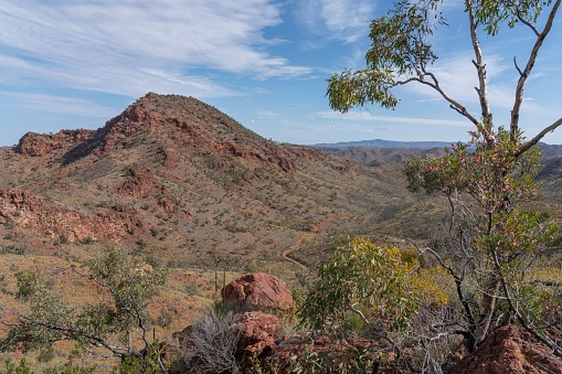 Landscape of kings canyon in outback, red centre of Australia