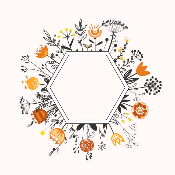 ilustraciones, imágenes clip art, dibujos animados e iconos de stock de marco con garabatos dibujados a mano hierbas y flores en estilo escandinavo. ilustración aislada del vector de dibujos animados - honey hexagon honeycomb spring