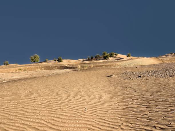 istock View of the deserted area 1461588636