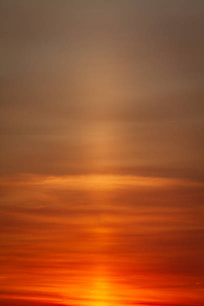 istock Vertical shot of a golden sunset sky 1461589557