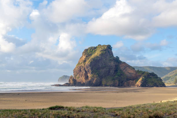 istock Piha beach and Lion Rock in background 1461590489