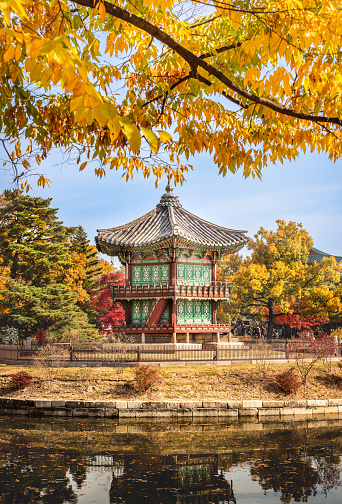 A scenic view of the Gyeongbok-gung temple in Korea with autumnal leaves on tree branches foreground