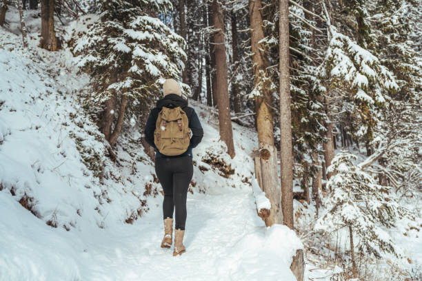 Woman walking in snowy winter landscape stock photo