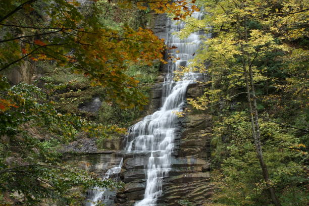 istock Beautiful cascading waterfall in a forest in rural New York 1461592983