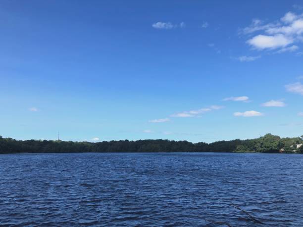 istock Mesmerizing view of a calm lake surrounded by trees 1461593300