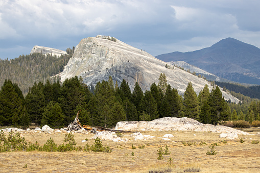 Yosemite Half Dome from Sentinel Dome\nYosemite National Park