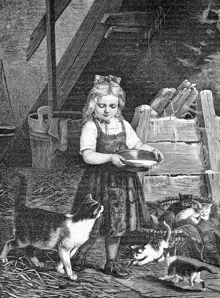 portret chłopki karmiącej mlekiem kota i kocięta w spichlerzu, rycina vintage - child retro revival old fashioned little girls stock illustrations