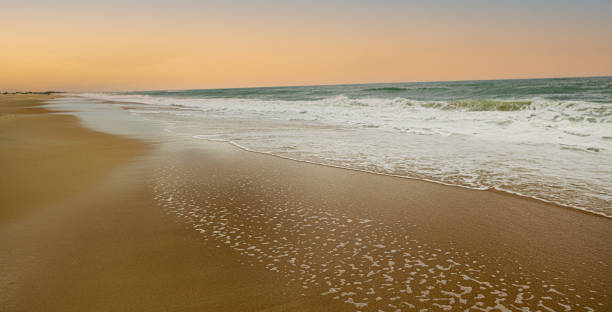 istock Soft ocean waves with foam on a sandy beach 1461595963